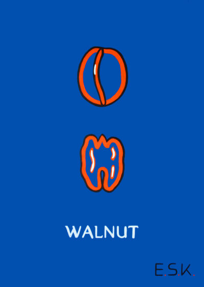 WALNUT - Pure Nature - 50 x 70 x 4 cm - Pop Art by Eileen Susanne Kreipl - E.S.K.